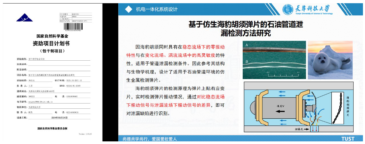 d71f04c80ae84621a9191d2709003ef7.png